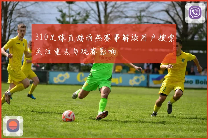 310足球直播雨燕赛事解读用户搜索关注重点与观赛影响