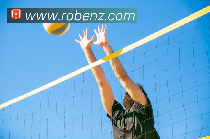 App Interface Preview