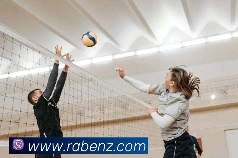 电子游戏pg娱乐官网APP 封面图